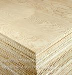 細(xì)木工板選購(gòu)指南 尋找超值專賣店與建筑砌塊銷售渠道